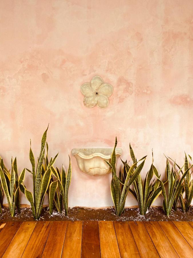 Casa Nicte, Hospedate En Una Casa Del Siglo XVIII Campeche Dış mekan fotoğraf